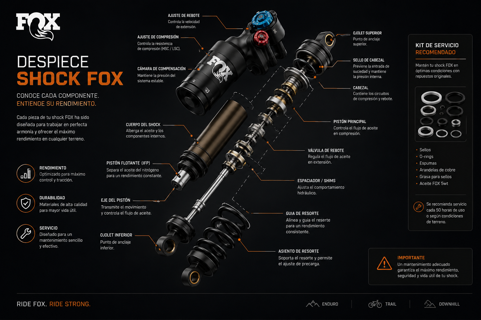 shockfox